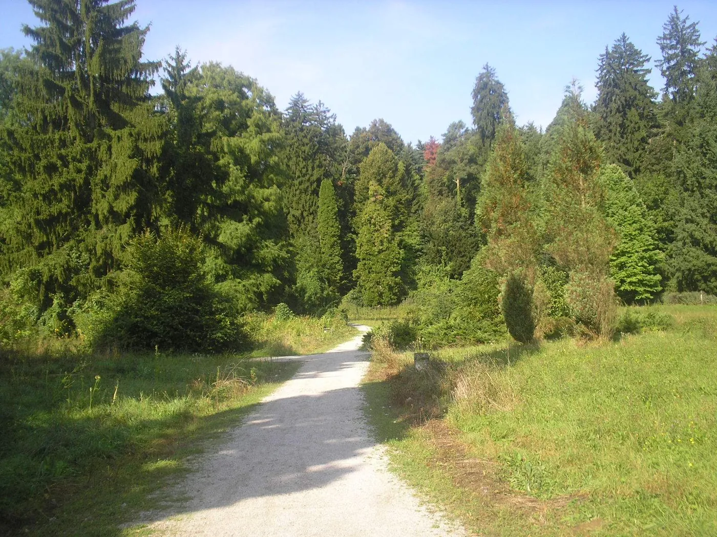 Arboretum Opeka · Vinica