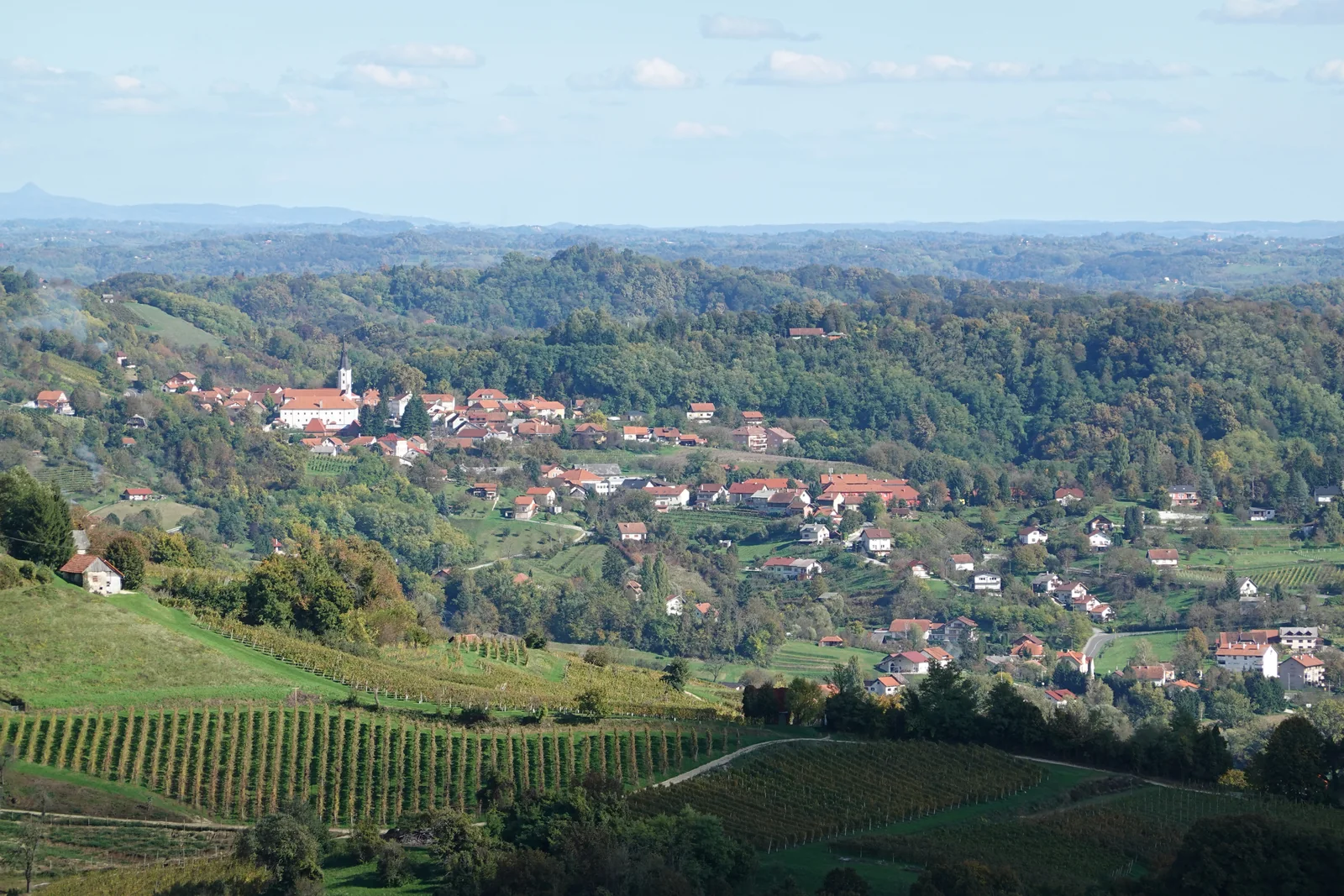 Vineyard rows and the town of Klanjec in the Zagorje hills